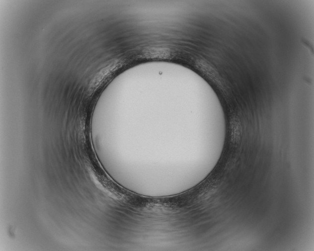 X0000102800538200809021138