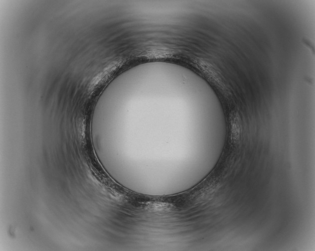 X0000102800539200809021138