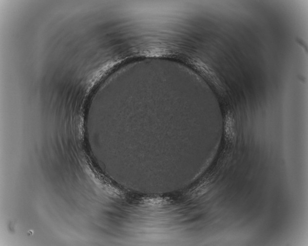 X0000102800540200809021138