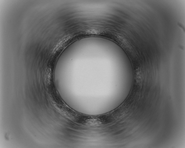 X0000102800544200809021139