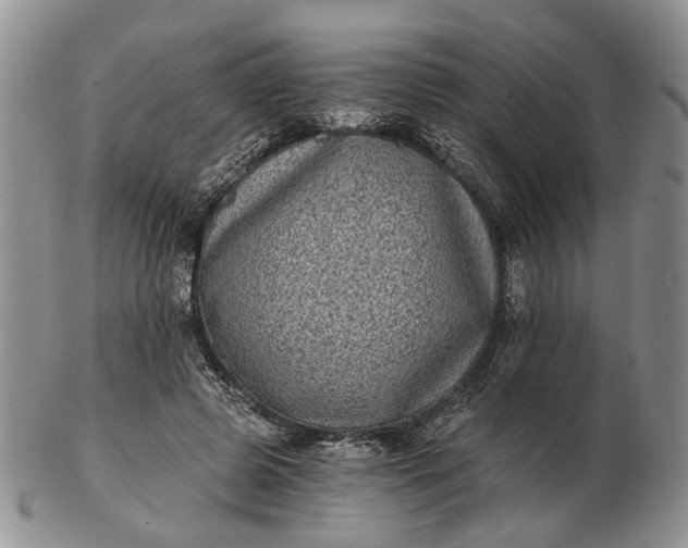 X0000102800545200809021139