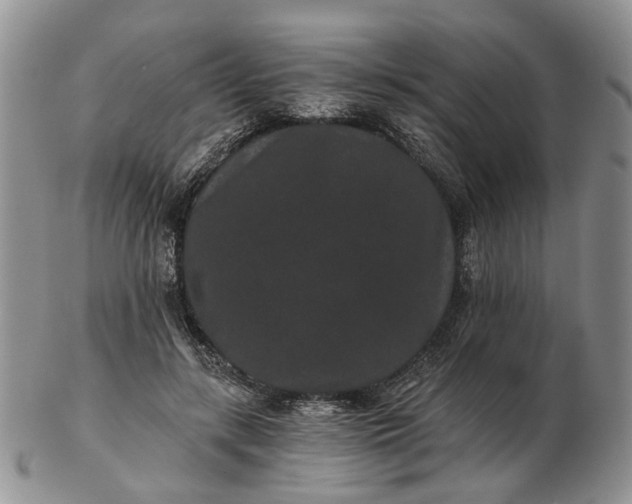 X0000102800547200809021139