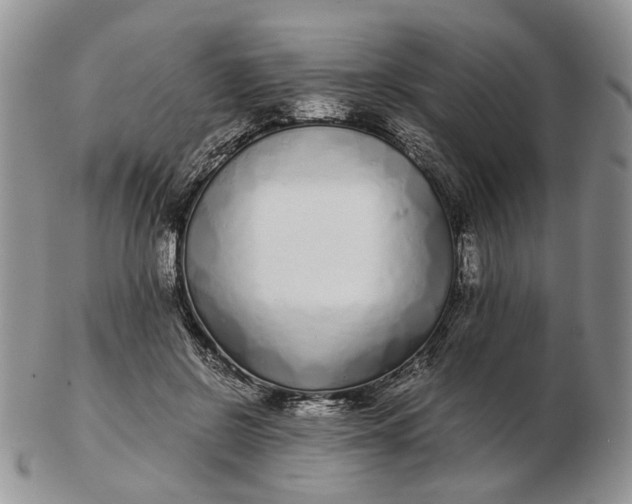 X0000102800550200809021139