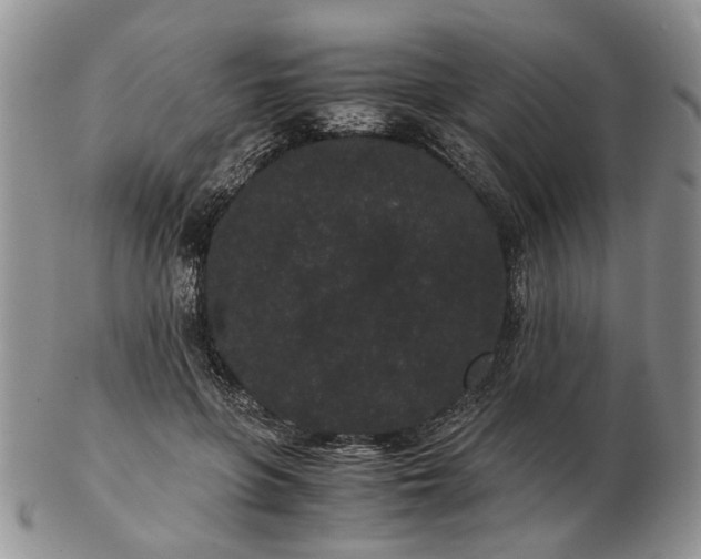 X0000102800551200809021139