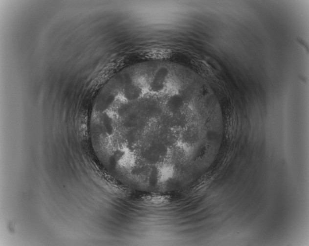 X0000102800553200809021139