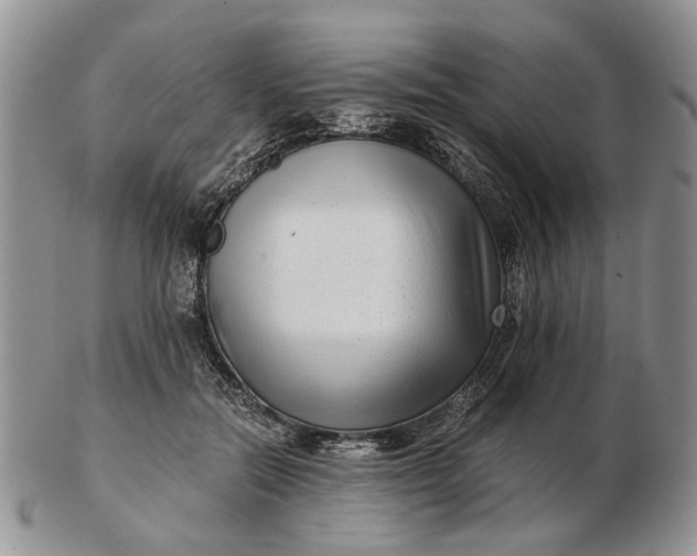 X0000102800554200809021139