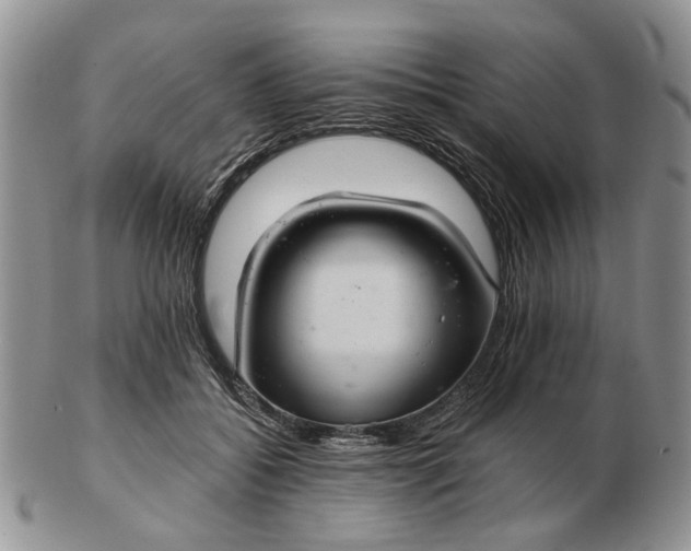 X0000102800556200809021139