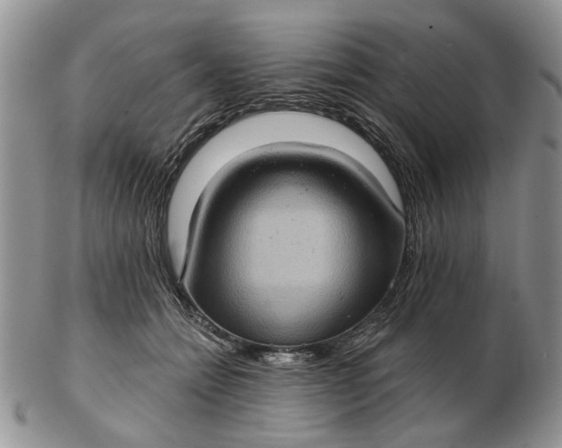 X0000102800558200809021139