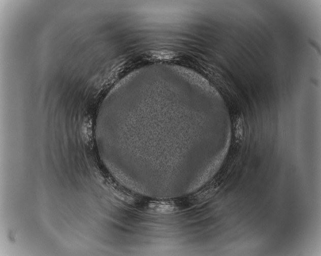 X0000102800559200809021139