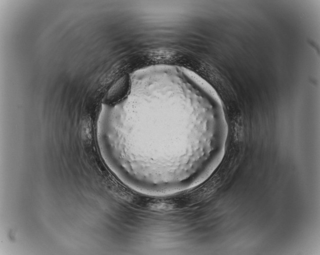 X0000102800561200809021139