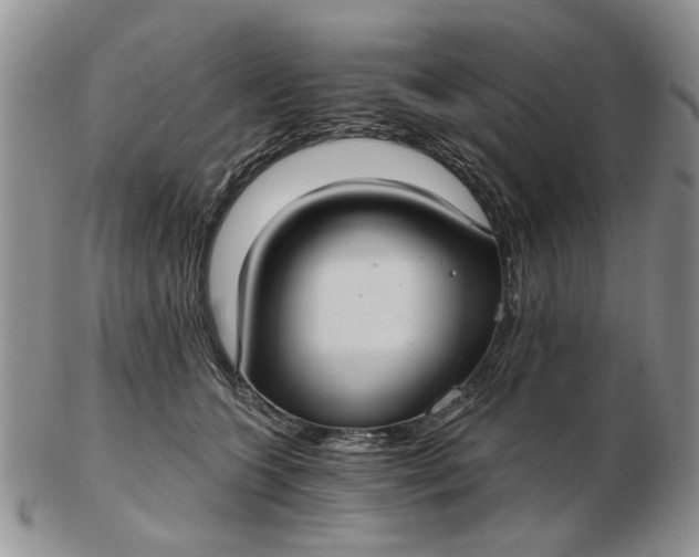 X0000102800563200809021139