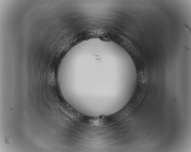 X0000102800564200809021139