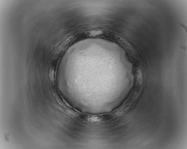 X0000102800565200809021139