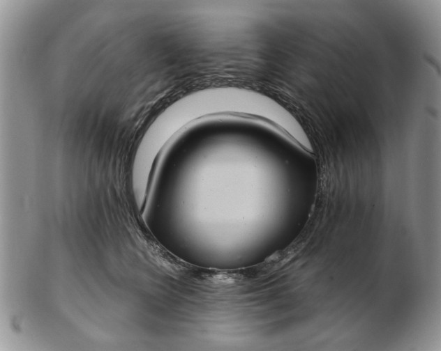 X0000102800566200809021139