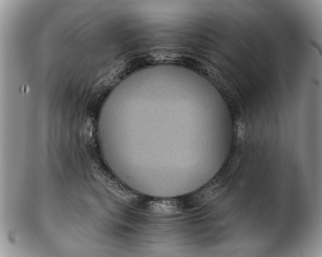 X0000102800567200809021139