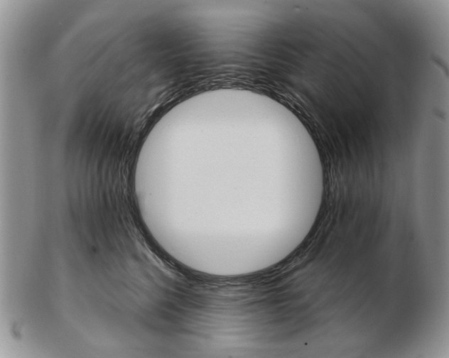 X0000102800568200809021139