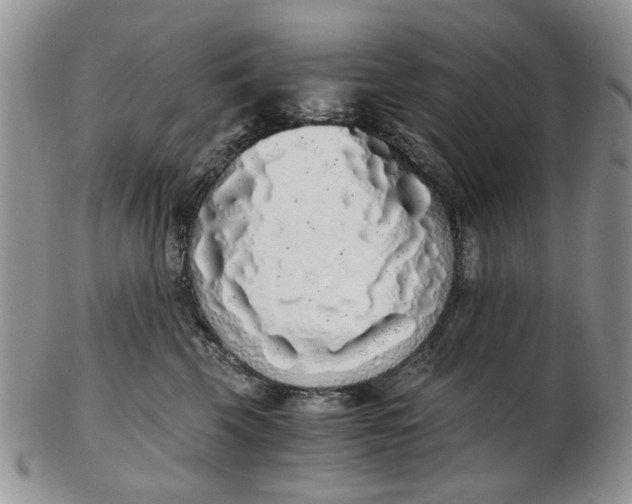 X0000102800569200809021139