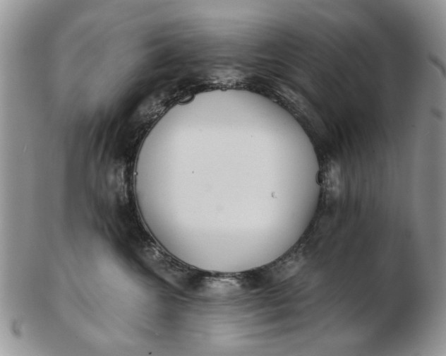 X0000102800572200809021139