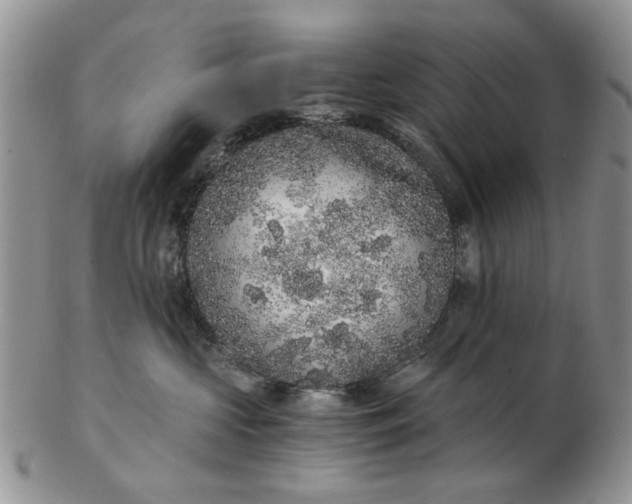 X0000102800573200809021139