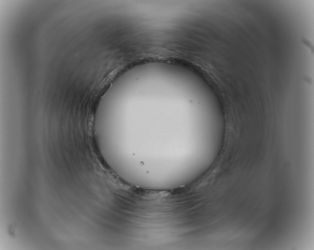 X0000102800576200809021139