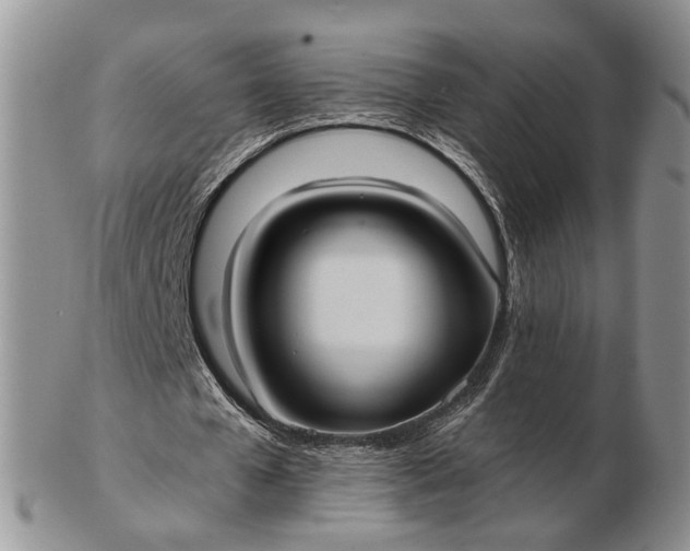 X0000102800577200809021138