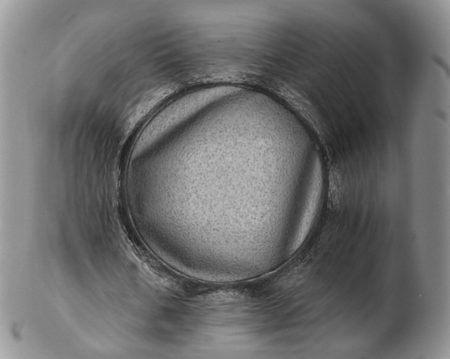 X0000102800578200809021138