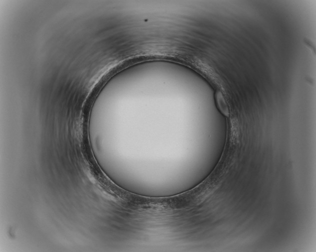 X0000102800580200809021138