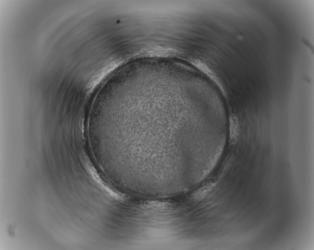 X0000102800581200809021138