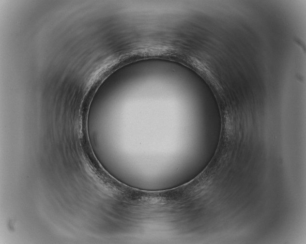 X0000102800582200809021138