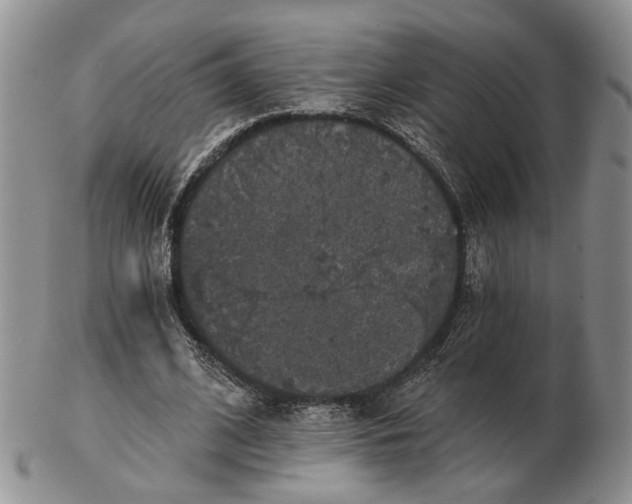 X0000102800584200809021138