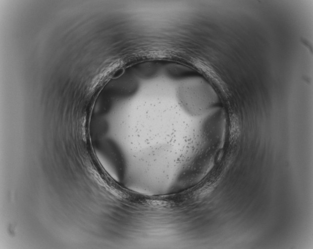 X0000102800585200809021138