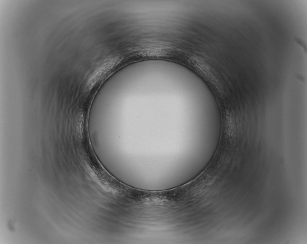 X0000102800586200809021138