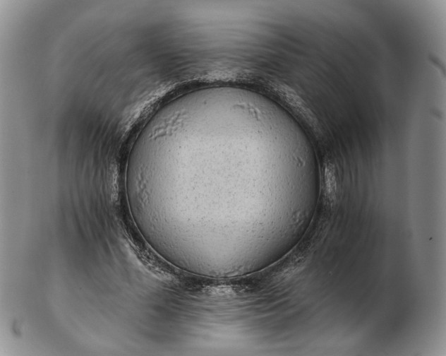 X0000102800588200809021138