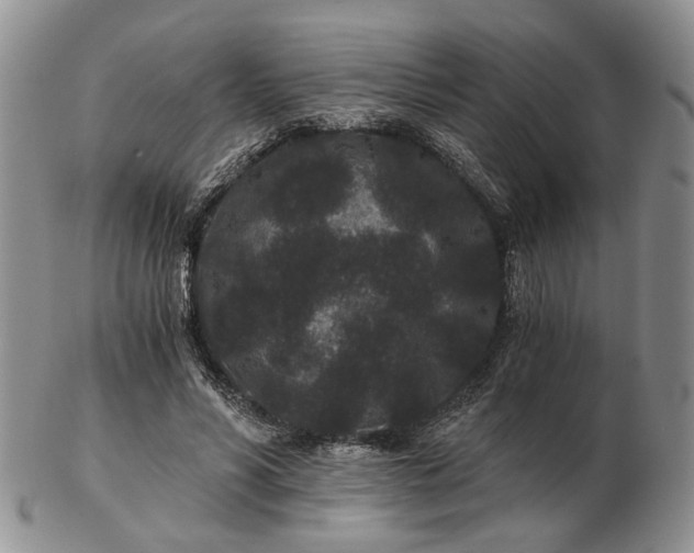 X0000102800590200809021138