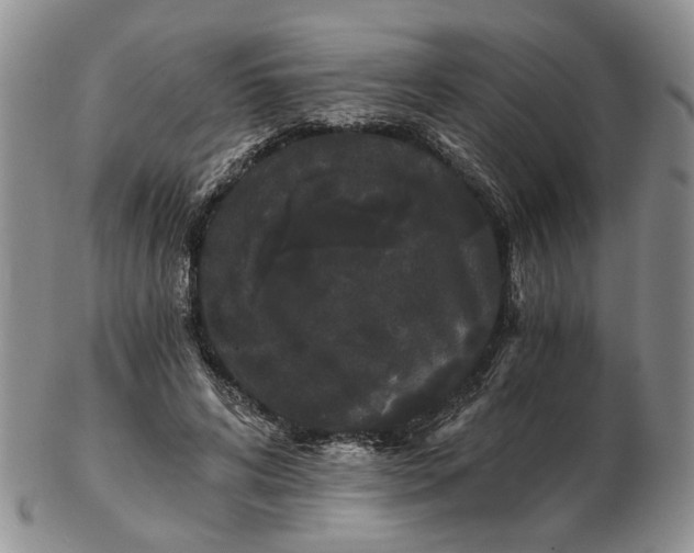 X0000102800592200809021138