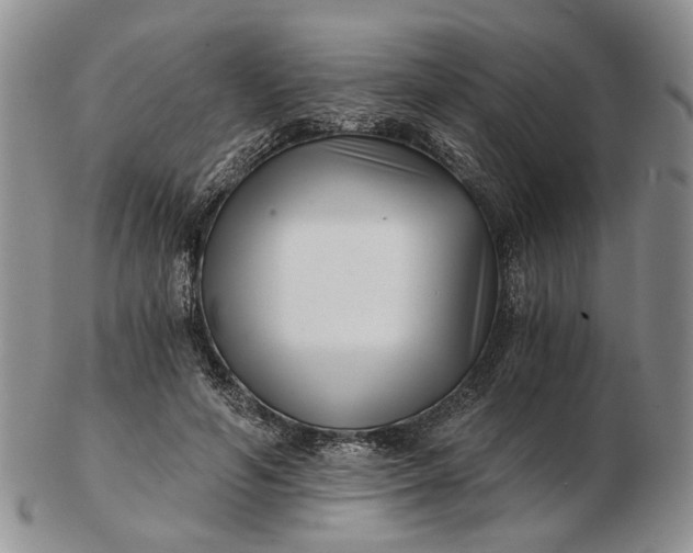 X0000102800594200809021138