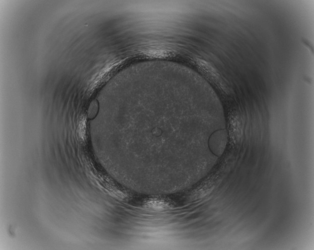 X0000102800596200809021138