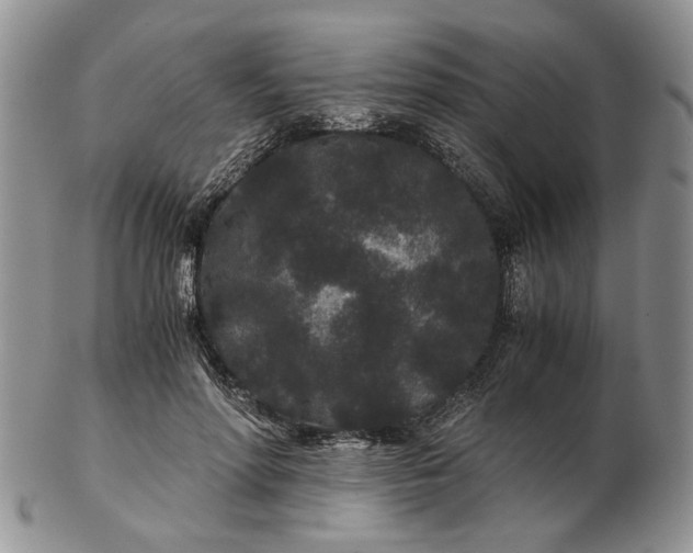 X0000102800598200809021138