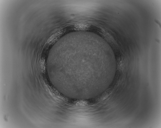 X0000102800599200809021138