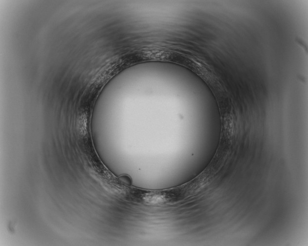 X0000102800602200809021138