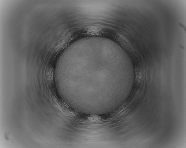 X0000102800603200809021138