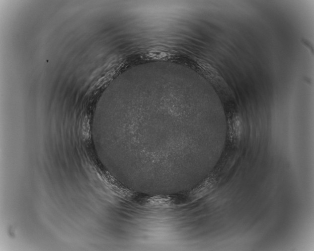 X0000102800606200809021138