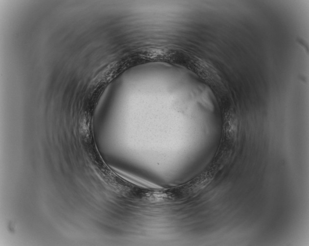 X0000102800607200809021138