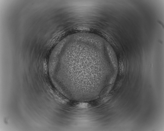 X0000102800609200809021138