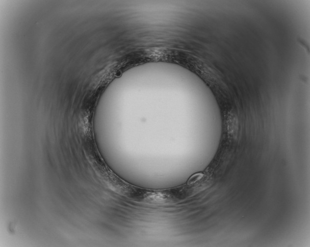 X0000102800611200809021138