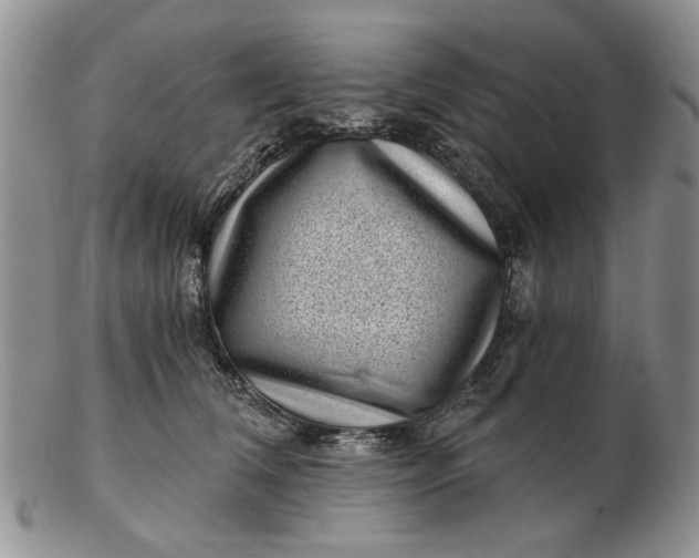 X0000102800612200809021138