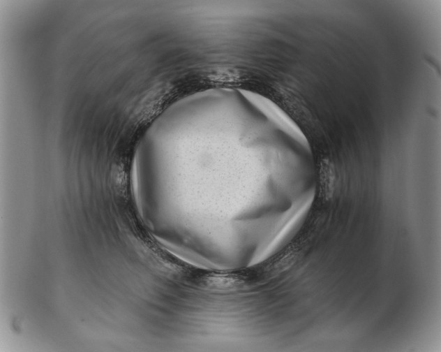 X0000102800614200809021138