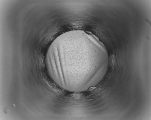 X0000102800615200809021138