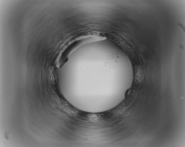 X0000102800616200809021138