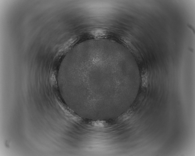 X0000102800618200809021138